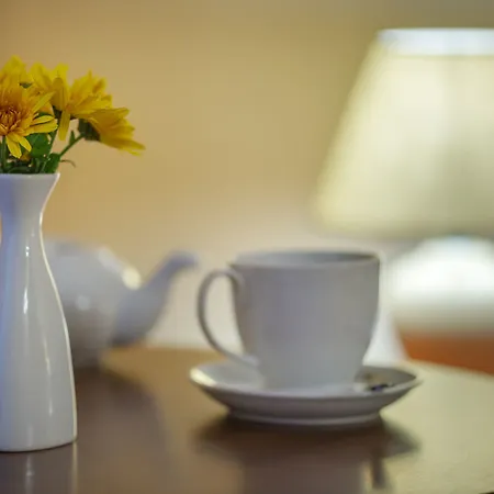 Vele Rosse Hotel, Business & Leisure Odesa