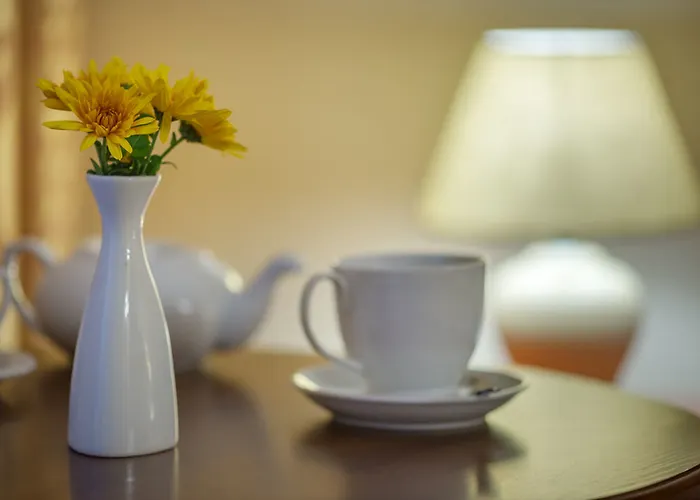 Vele Rosse Hotel, Business & Leisure Odesa