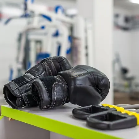 Vele Rosse Hotel, Business & Leisure