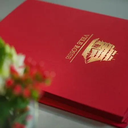 Vele Rosse Hotel, Business & Leisure 4* Odesa