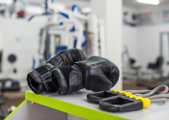 Vele Rosse Hotel, Business & Leisure